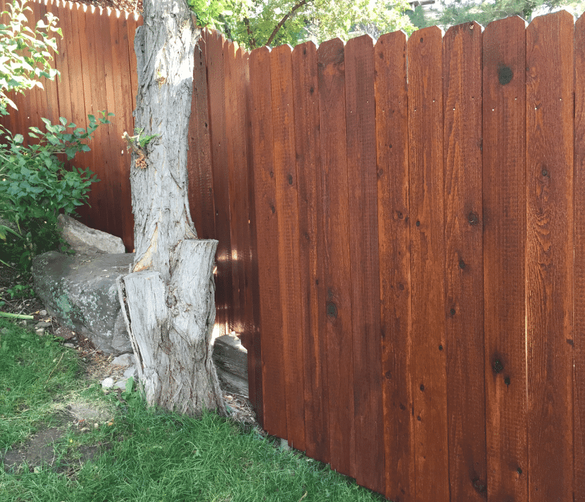 protecting-fence