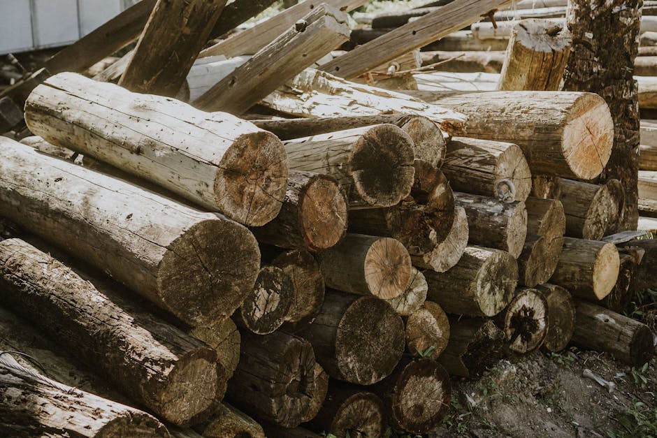 Inspecting Logs - how to refinish log cabin exterior