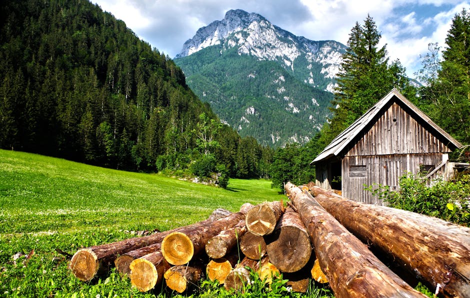 cleaning logs - how to stain a log cabin