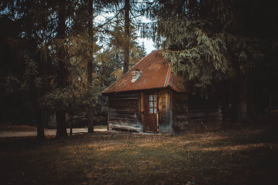 dark stained log cabin - dark stained log cabin