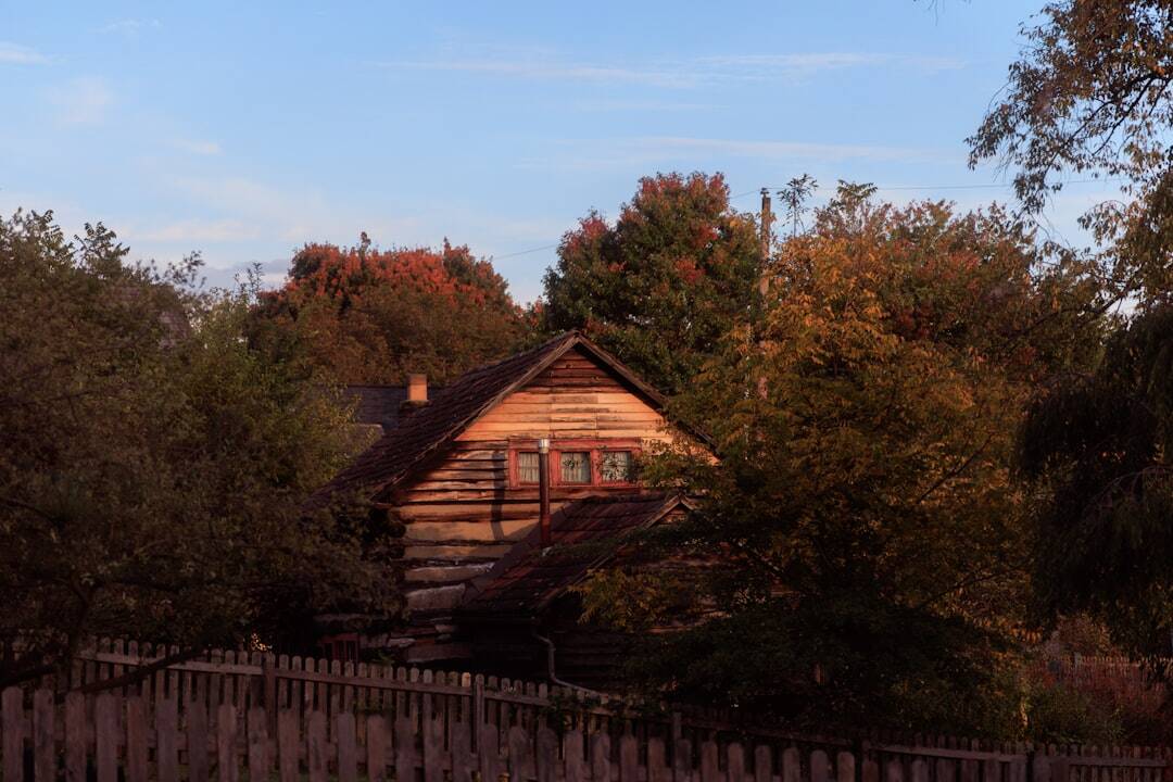 Historical cabin - cabin restoration